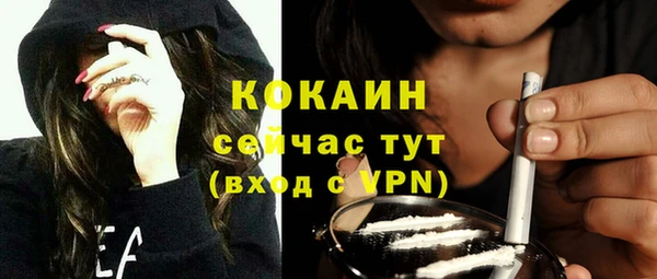 шишки Балахна