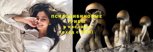 шишки Балахна