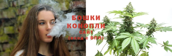 шишки Балахна