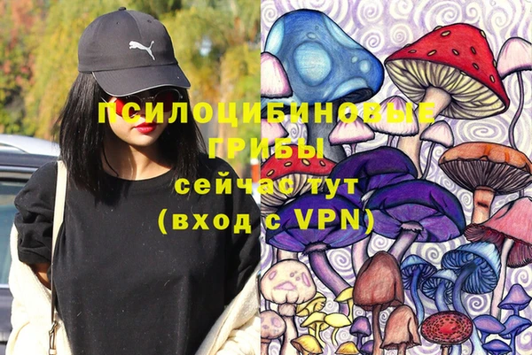 стаф Баксан