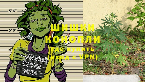 стаф Баксан