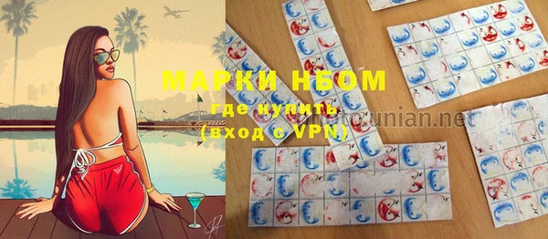 стаф Баксан