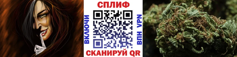 блэк спрут маркетплейс  Полысаево  МАРИХУАНА Amnesia 